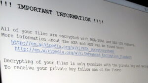 ransomware, ransomware extortion, government, intervention, protection, business, cybersecurity, security, computer, web