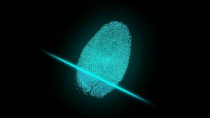 finger, fingerprint, security, digital identity, safety, security