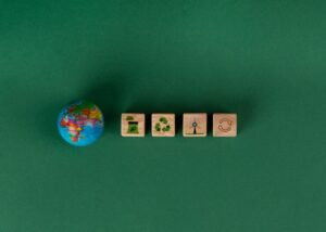 Best Accountant Near Me